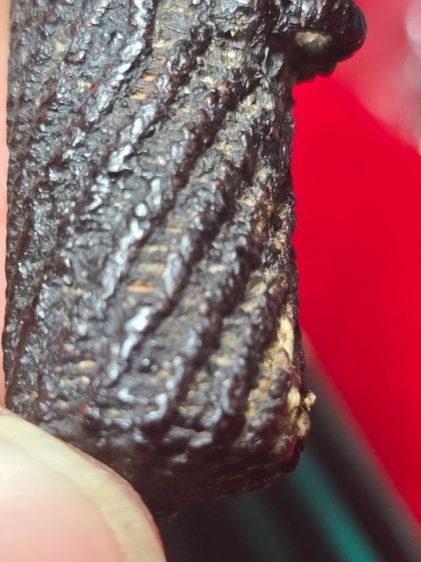 ตะกรุดไม้ครูวัดอินทร์