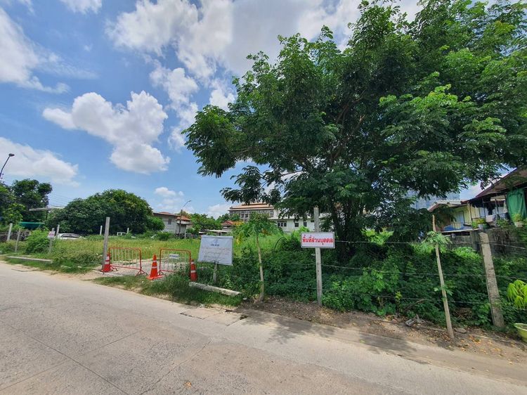 ที่ดินว่างเปล่าแปลงมุม 342 ตรว. ใจกลางชุมชนซอยกรุงเทพนนท์ 13 (ซอยทับทิม) รูปที่ 3