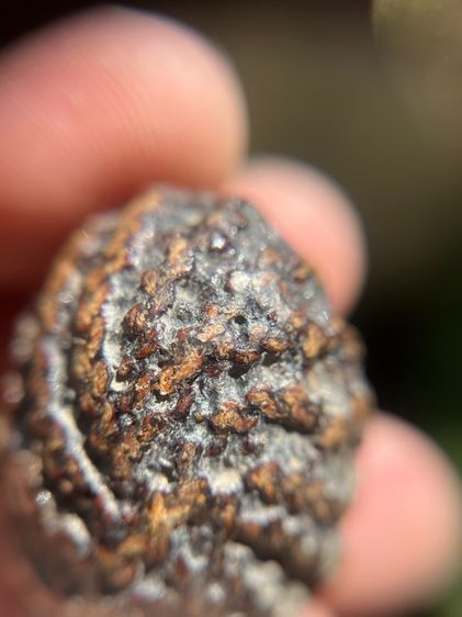 เบี้ยแก้ไม่ทราบที่ ปรอทวิ่ง(มีสินค้าหลายรายการกดเข้ามาดูในโปรไฟล์ได้เลยครับ) รูปที่ 7