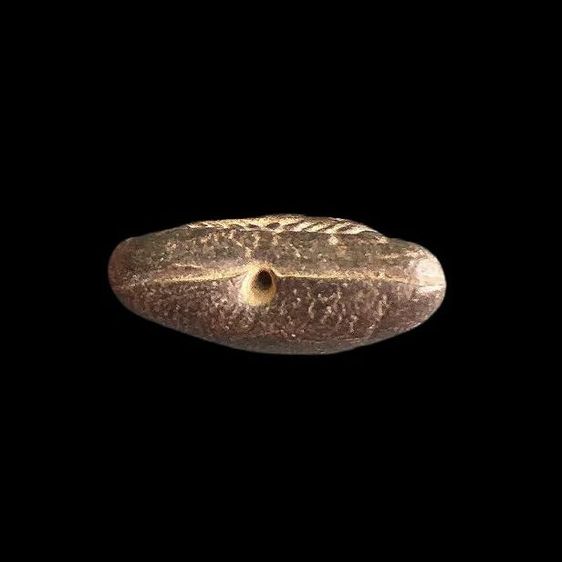 แจกแม่ครัว หลวงปู่ศุข. รูปที่ 5