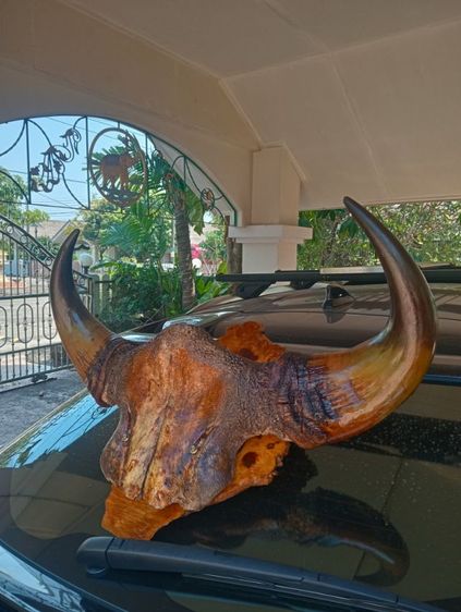 แท้ขนาดใหญ่เก่าโบราณสภาพเยี่ยมบนปุ่มมะค่า รูปที่ 10