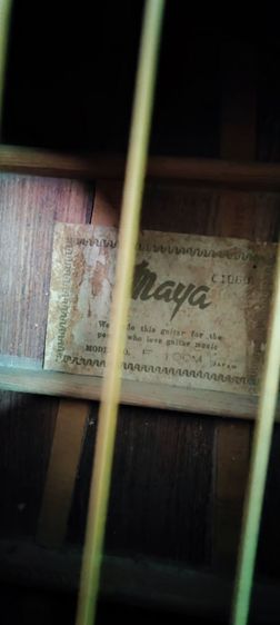 ขายกีต้าร์ Maya F. 100 Japan  รูปที่ 7