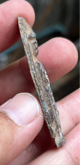 พระร่วงยืน รูปที่ 3