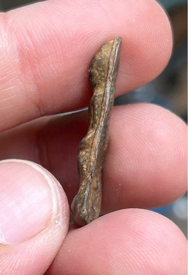 พระกรุเชตุพล รูปที่ 5