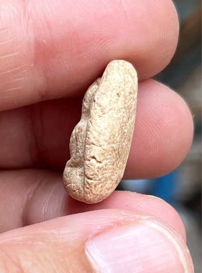 พระกรุวัดพลับ รูปที่ 5