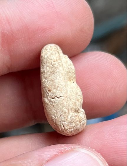 พระกรุวัดพลับ รูปที่ 3