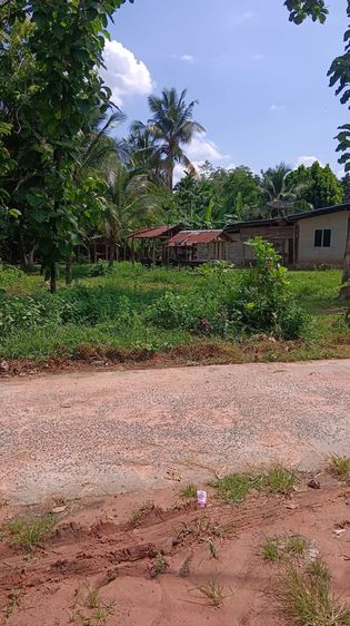 ที่ดินสวย ในหมู่บ้าน เหมาะสำหรับ ปลูกบ้านที่อยู่อาศัย และทำสวน