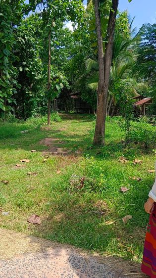 ที่ดินสวย ในหมู่บ้าน เหมาะสำหรับ ปลูกบ้านที่อยู่อาศัย และทำสวน รูปที่ 2