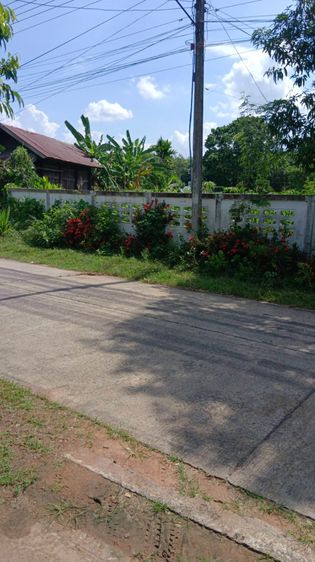 ที่ดินสวย ติดถนนหมู่บ้านและถนนไปยังวิหาร องค์ต้น รูปที่ 2