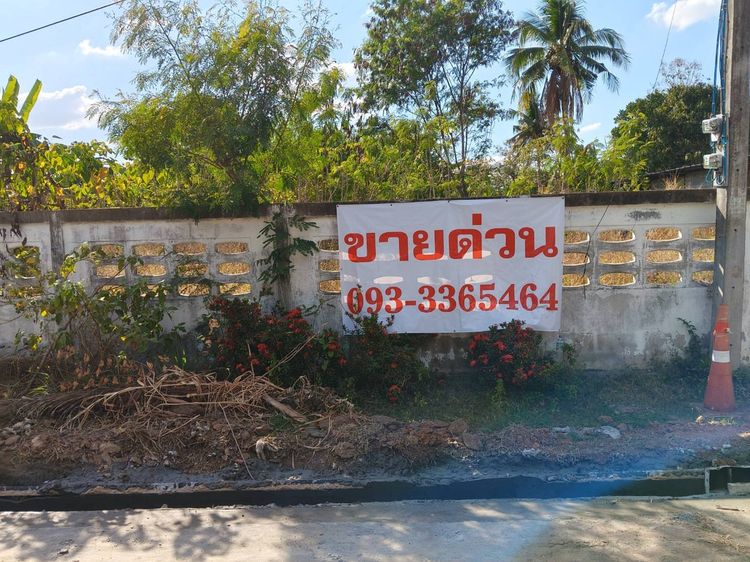 ที่ดินสวย ติดถนนหมู่บ้านและถนนไปยังวิหาร องค์ต้น