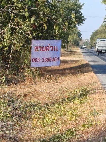 ที่ดินติดถนน สวยมาก เหมาะสำหรับ เปิดร้านค้า หรือที่อยู่อาศัย