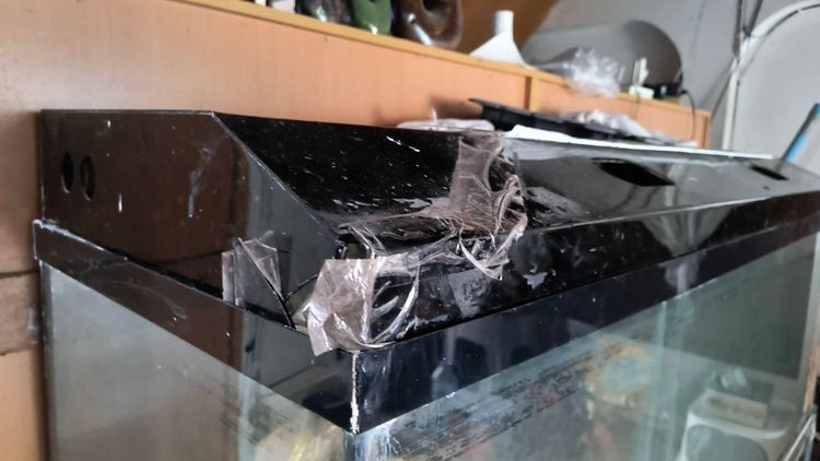 ตู้ปลา 60นิ้ว รูปที่ 5