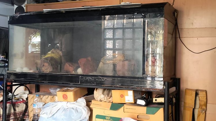 ตู้ปลา 60นิ้ว รูปที่ 2