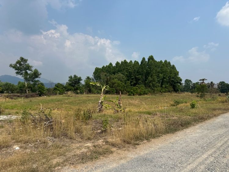 ขายที่ดินเปล่า ใกล้โรงเรียมเตรียมทหาร ตำบลศรีกะอาง อำเภอบ้านนา จังหวัดนครนายก เนื้อที่รวม 5 ไร่ 1 งาน รูปที่ 4