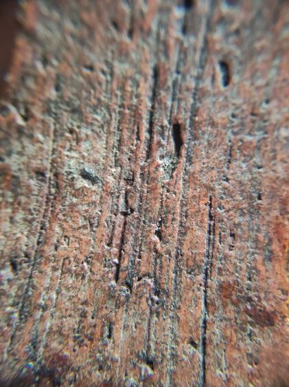 ขุนแผนเก่าๆ รูปที่ 8