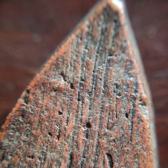 ขุนแผนเก่าๆ รูปที่ 7