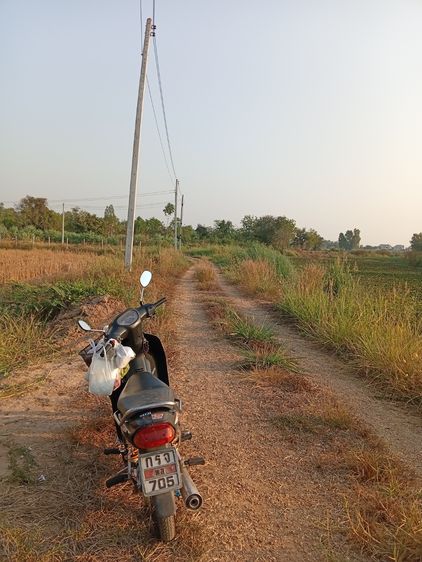 ที่ดิน 3 ไร่ 1 งาน รูปที่ 3