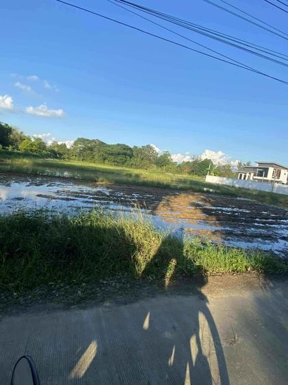 ที่ดิน 4 ไร่กว่า ดอยสะเก็ด ใกล้ถนนหลัก 1 กม. เจ้าของต่อรองได้ รูปที่ 4