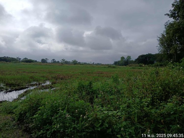 “ที่แม่ปูคา สันกำแพง ทำเลทองมาก‼️ ใกล้เมือง-ใกล้ศูนย์ราชการ ราคานี้หาไม่ได้แล้ว ที่สวย แปลงใหญ่ รูปที่ 4