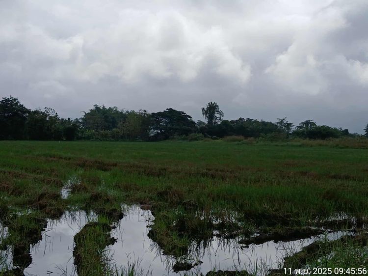 “ที่แม่ปูคา สันกำแพง ทำเลทองมาก‼️ ใกล้เมือง-ใกล้ศูนย์ราชการ ราคานี้หาไม่ได้แล้ว ที่สวย แปลงใหญ่ รูปที่ 3