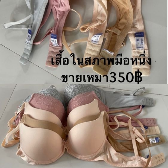 เสื้ิอชั้นใน