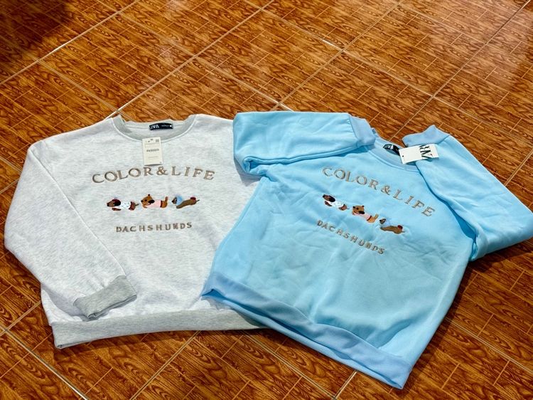 เสื้อแขนยาวหมาดัชชุน