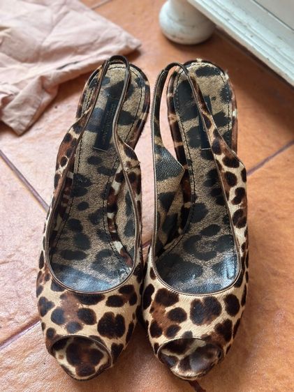 Jimmy choo รูปที่ 11