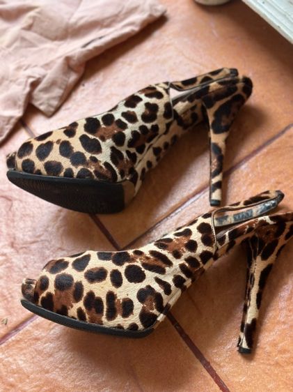 Jimmy choo รูปที่ 12