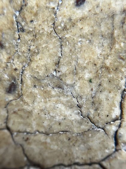 พระสมเด็จพิมพ์องค์ปฐมปกโพธิ์ รูปที่ 12