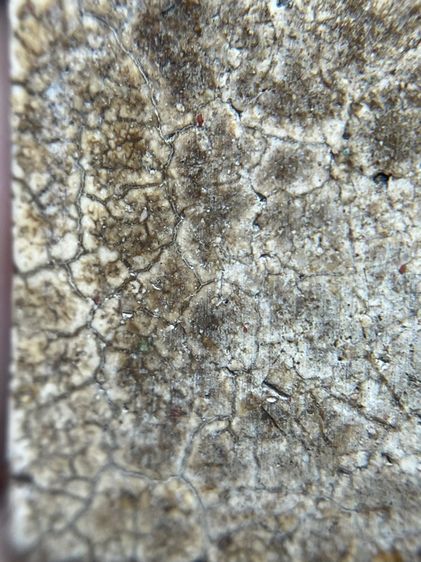 พระสมเด็จพิมพ์ใหญ่เกศจุดซุ้ม รูปที่ 10