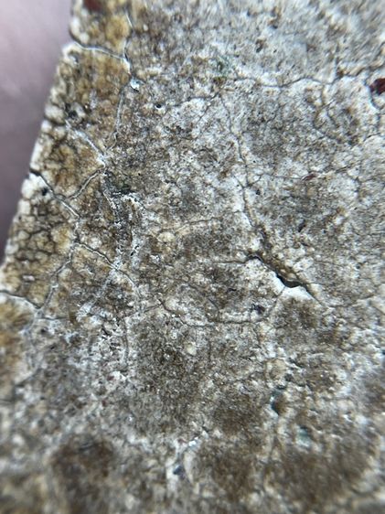 พระสมเด็จพิมพ์ใหญ่เกศจุดซุ้ม รูปที่ 13