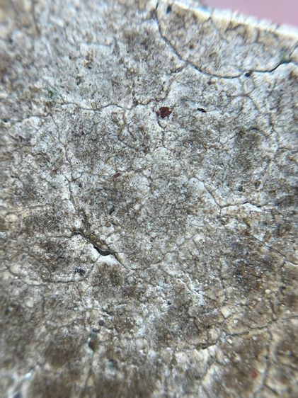 พระสมเด็จพิมพ์ใหญ่เกศจุดซุ้ม รูปที่ 14