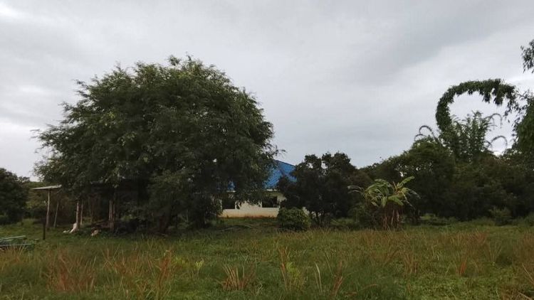 ใช่ ขายที่ดินในซอยริมทางหลวง107(เชียงใหม่-ฝาง)กม.48 บ้านปางกว้าง ซ.8 ต.อินทขิล อ.แม่แตง เชียงใหม่ เหมาะสำหรับทำโรงงาน โกดัง หรือทำสวน,พืชไร่ รูปที่ 2