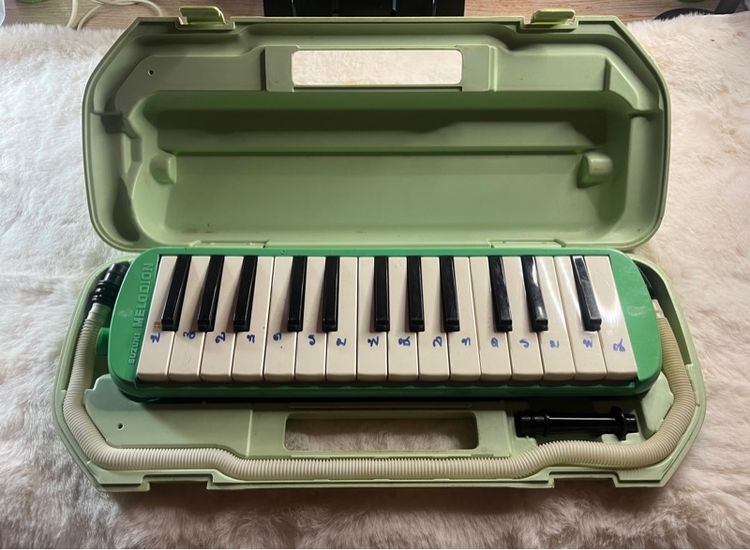 เมโลเดียน MELODION 