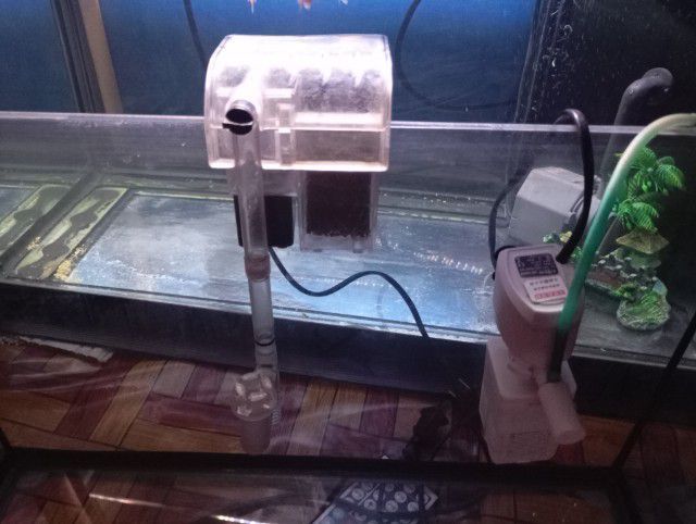 ตู้ปลาพร้อมกรอง