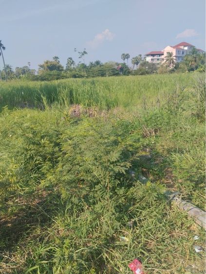 ที่ดินติดถนน