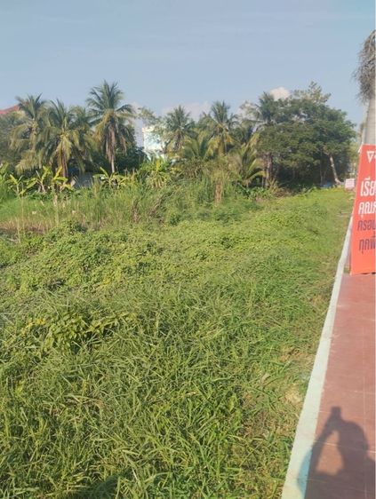 ที่ดินติดถนน รูปที่ 2