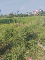 ที่ดินติดถนน