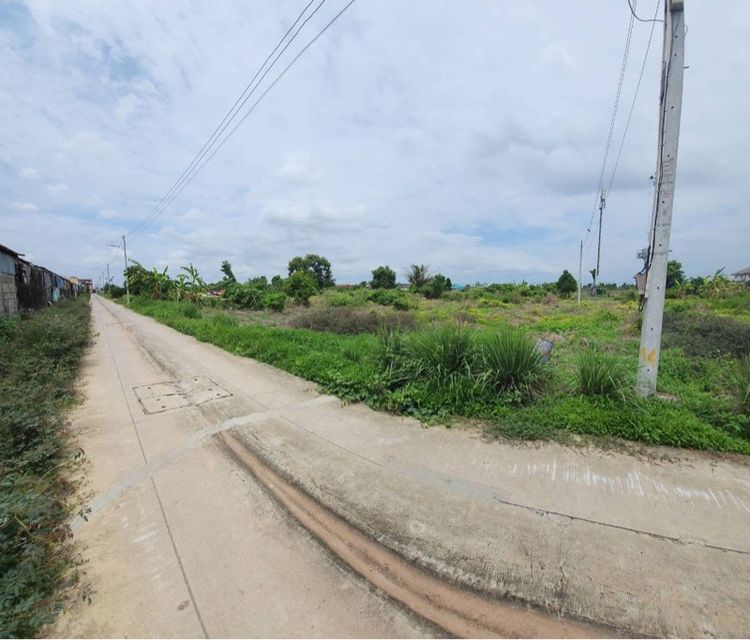 ใช่ ขายที่ดินสีม่วง 1 ไร่ 2 งาน  รูปที่ 3