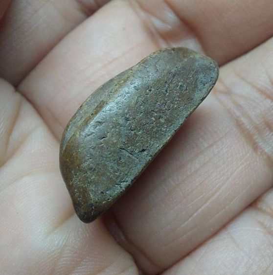 พระปิดตา เนื้อกะลา หลังแบบ วัดเครือวัลย์ แห้งเก่า เนื้อจัด  รูปที่ 2