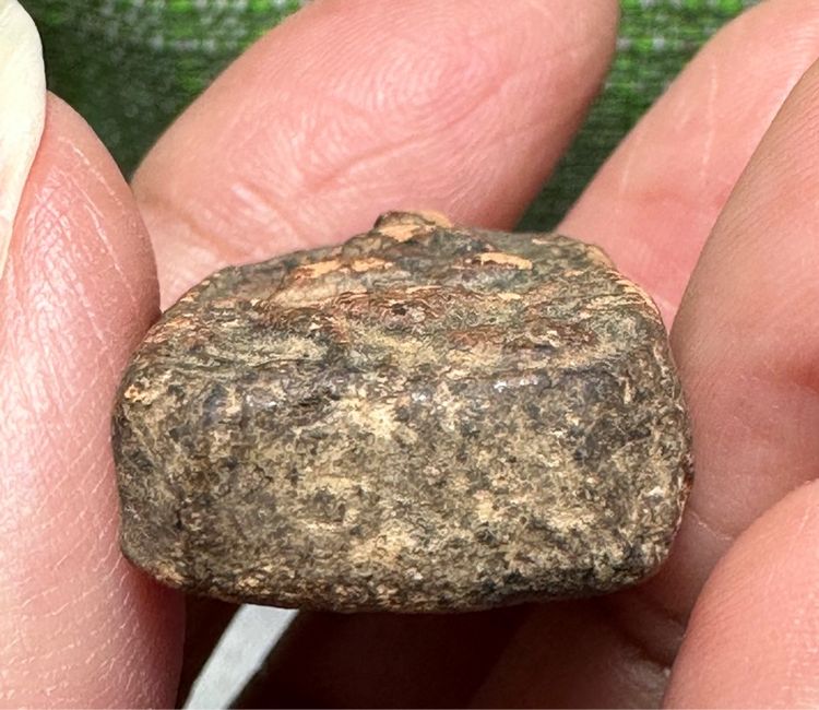 พระเนื้อดินล.พ.ปาน ทรงครุฑ รูปที่ 7