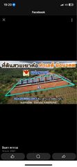 ที่ดิน 4 ไร่ บนเขาค้อ เพชรบูรณ์