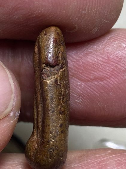 พระยืนตอ กรุกำแพงเพชร รูปที่ 4