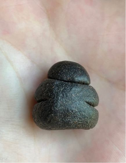 พระปิดตาหลวงพ่อแก้ว วัดปากทะเล รูปที่ 2