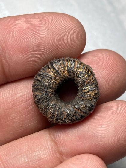 เก่าดีมาก รูปที่ 2