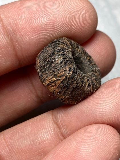 เก่าดีมาก รูปที่ 3