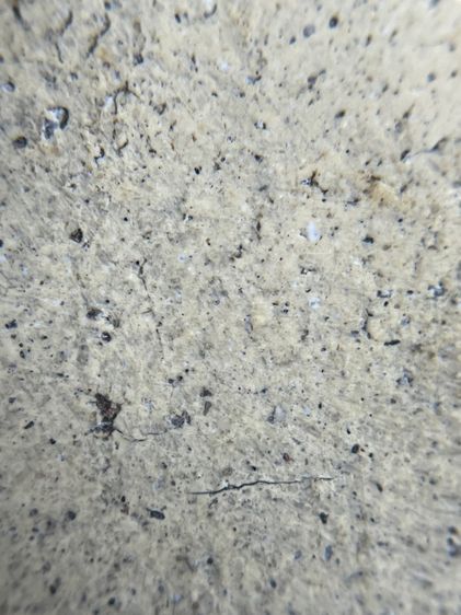  พระสมเด็จวัดระฆังพิมพ์ปางไสยาสน์ รูปที่ 14