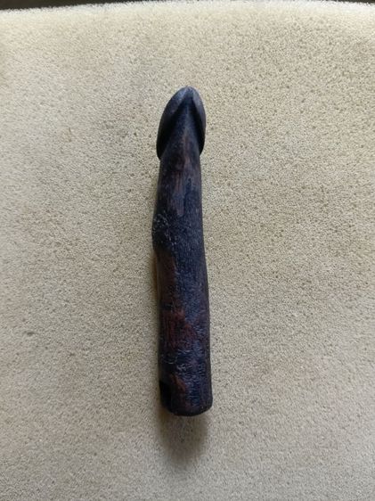 ปลัดขิกมีรอยจานไม่ทราบที่ รูปที่ 9