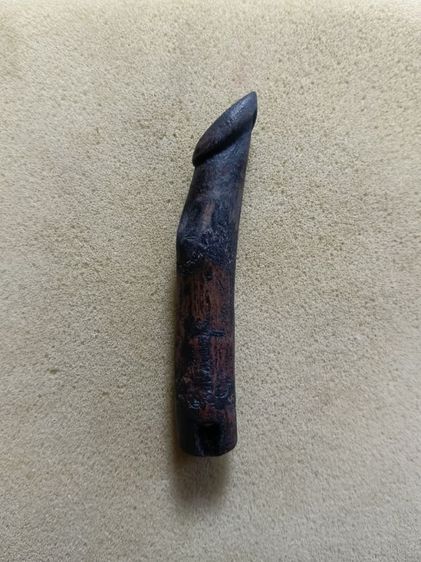 ปลัดขิกมีรอยจานไม่ทราบที่ รูปที่ 6