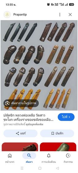 ปลัดขิกมีรอยจานไม่ทราบที่ รูปที่ 10